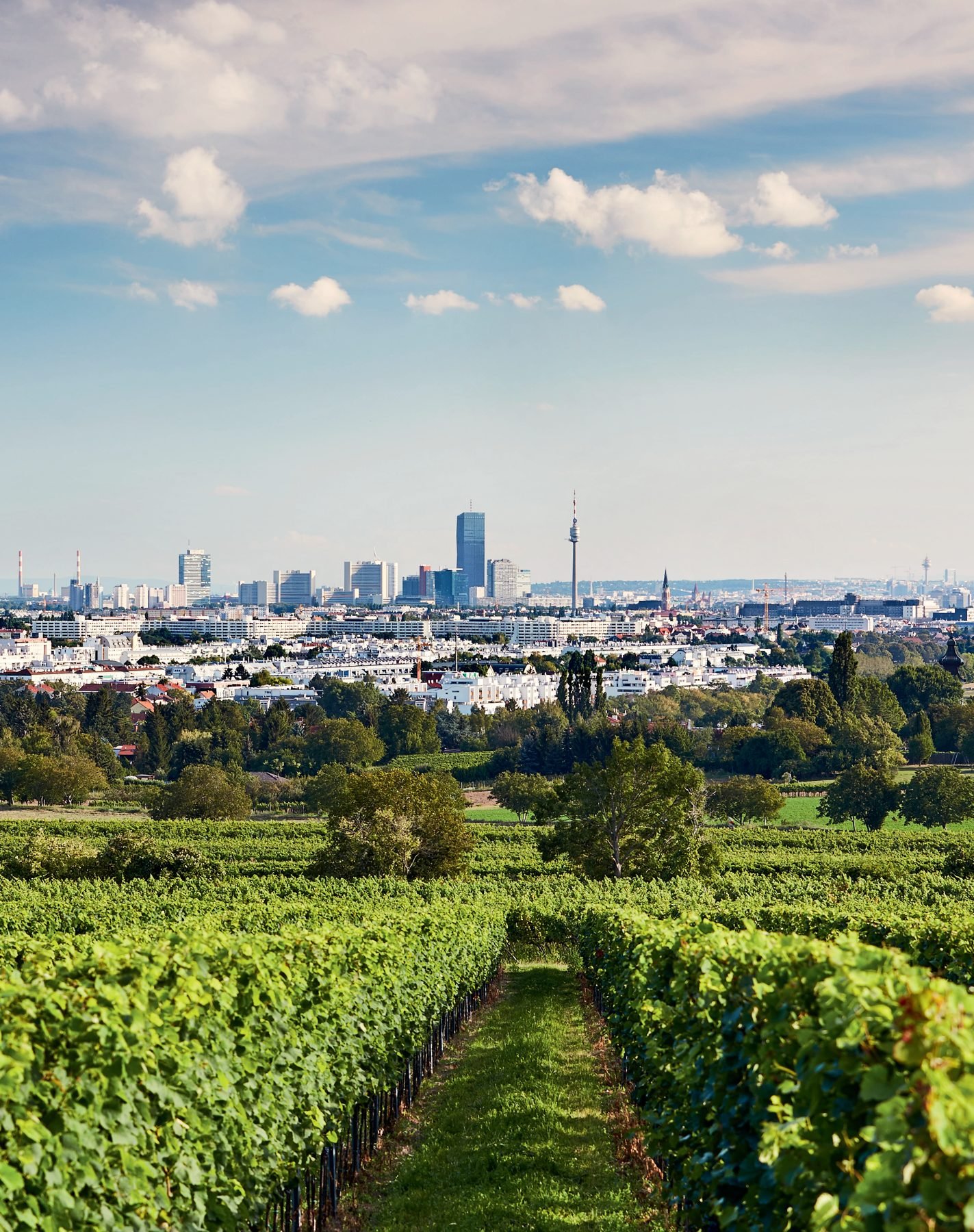 Wiener Gebietsweine